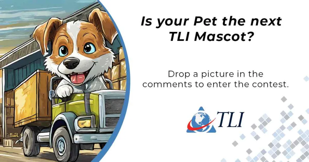 Pet Mascot Campaign